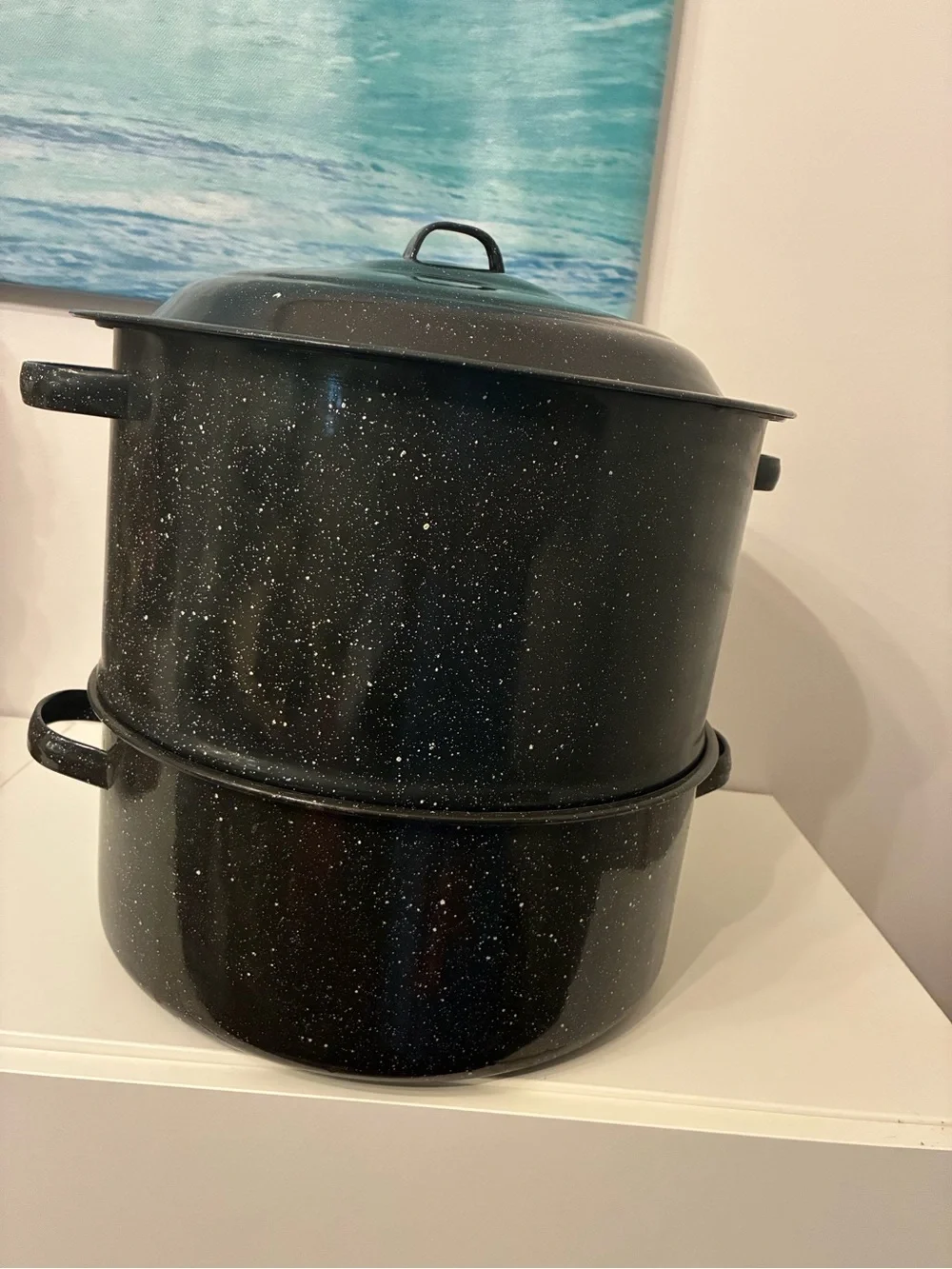 Black Speckled Enamel Lobster Stockpot with Spigot